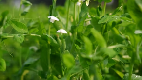 봄 차박 필수 가이드: 기름기 제로! 코펠과 그리들을 새것처럼 관리하는 설거지 3단계