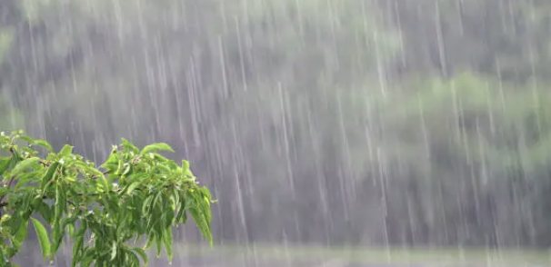 비 오는 날 최고의 여행지 추천