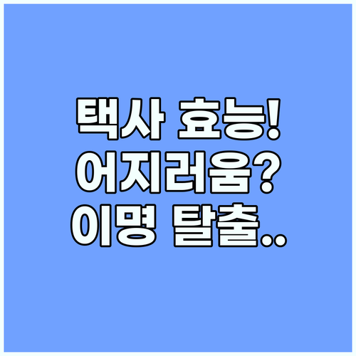 택사 어지러움과 이명 완화에 도움 주..