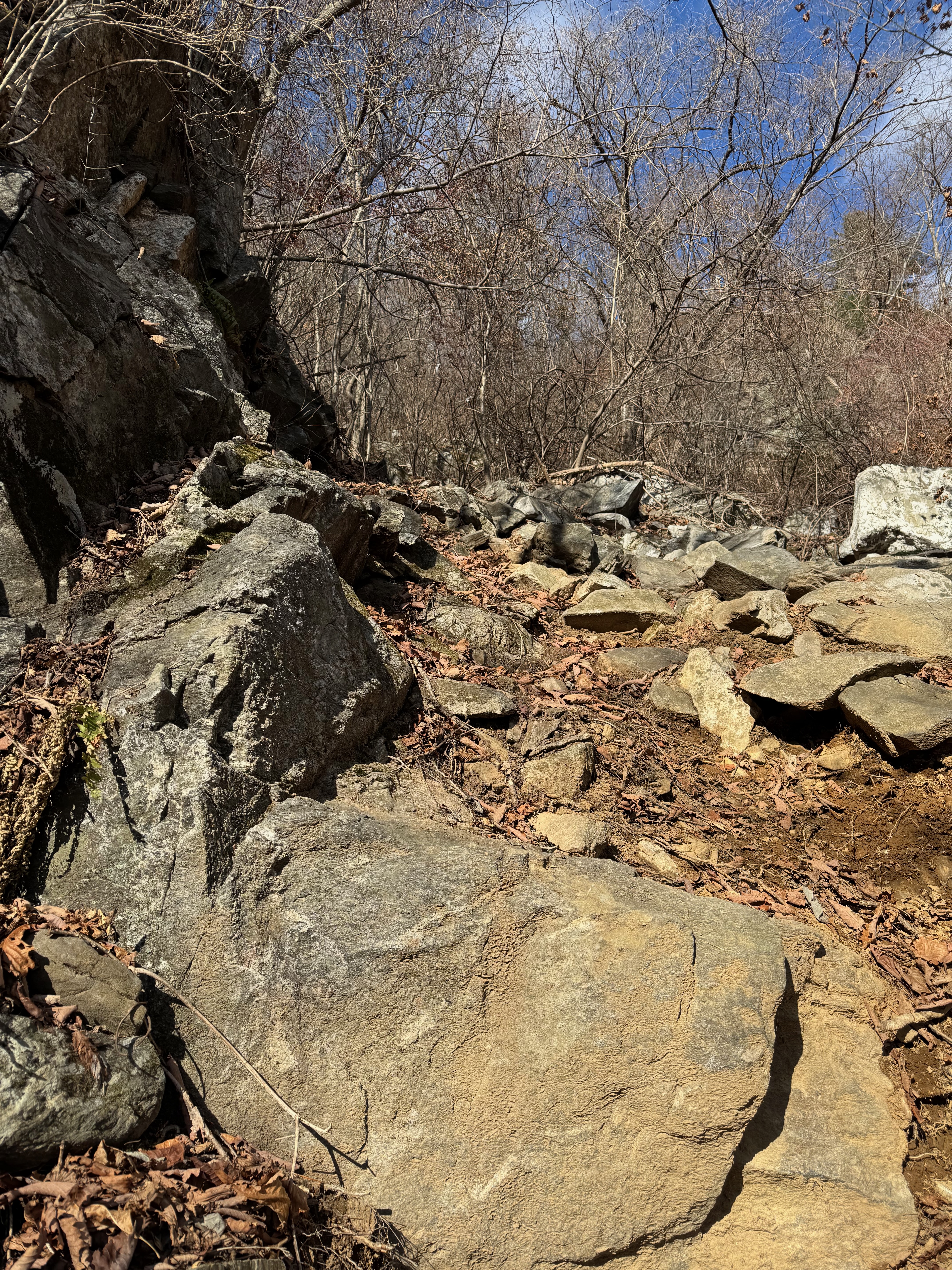 명지산 가파른 등산길