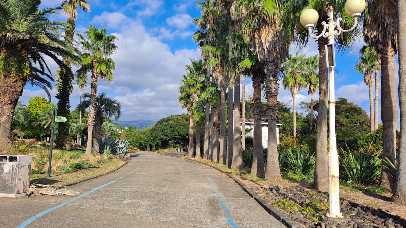 제주여행_여미지식물원