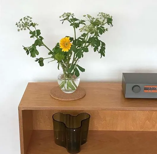 식목일
