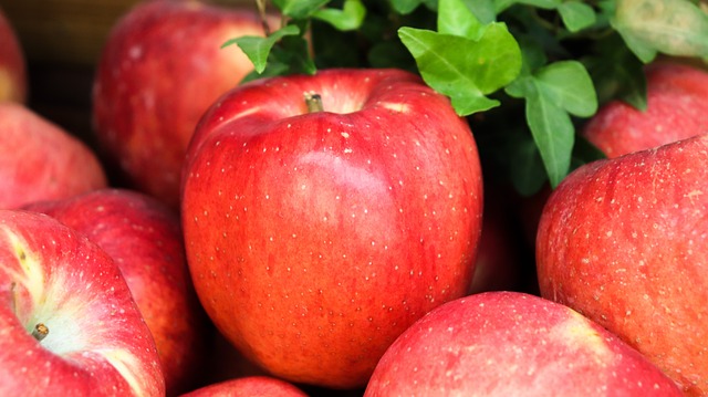 지역농산물 꾸러미 지원 예산 및 지자체별 차이