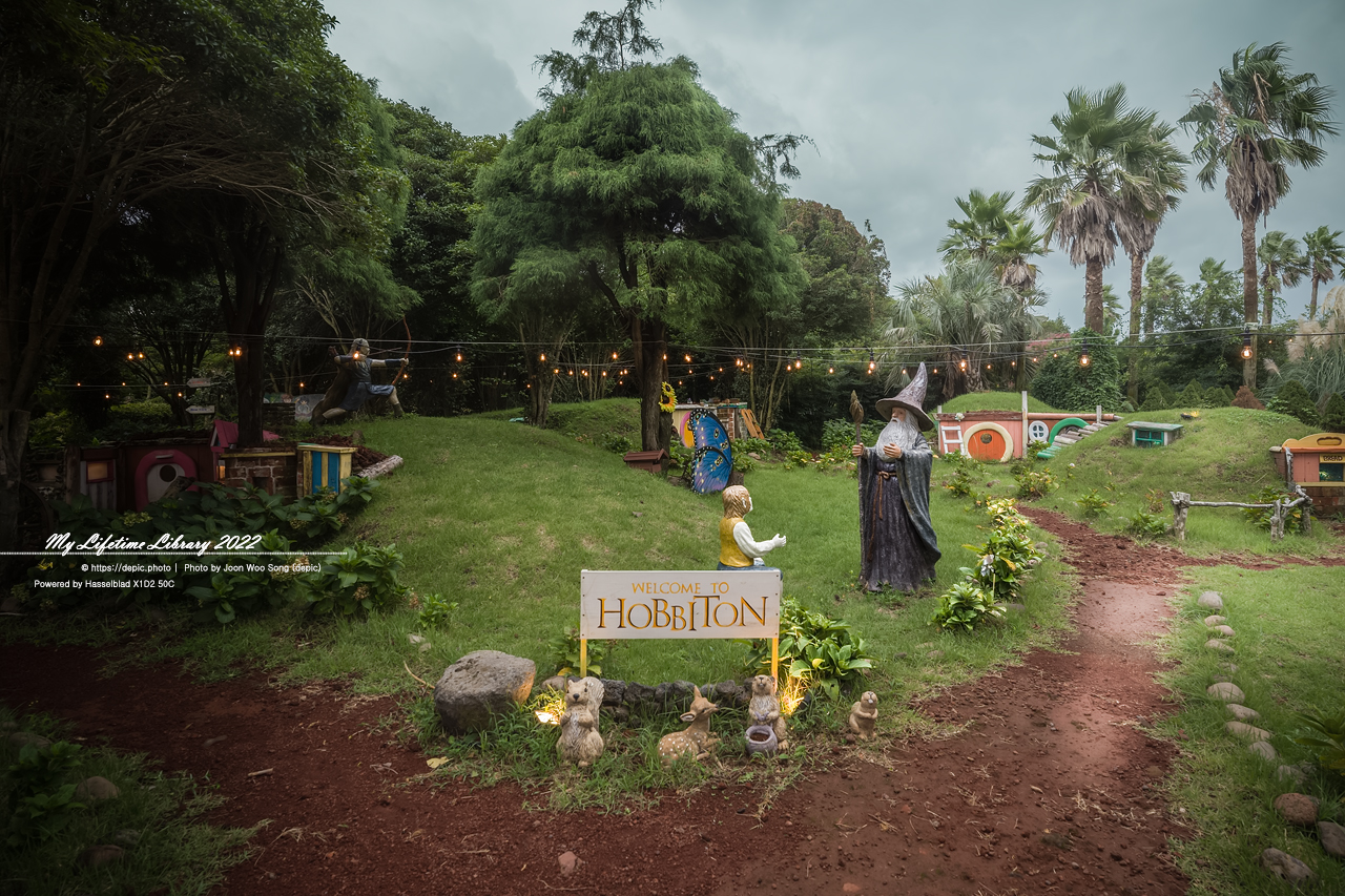 #제주 #파더스가든 #억새 #수국 #목마 #자전거 #2022제주여행