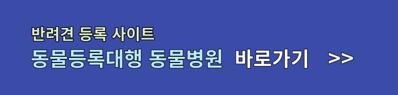 반려견 등록 사이트 동물 등록대행 동물병원