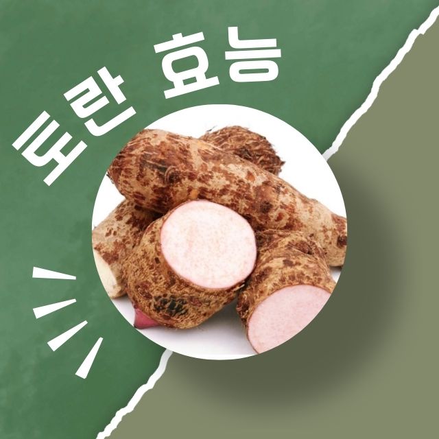 토란 효능