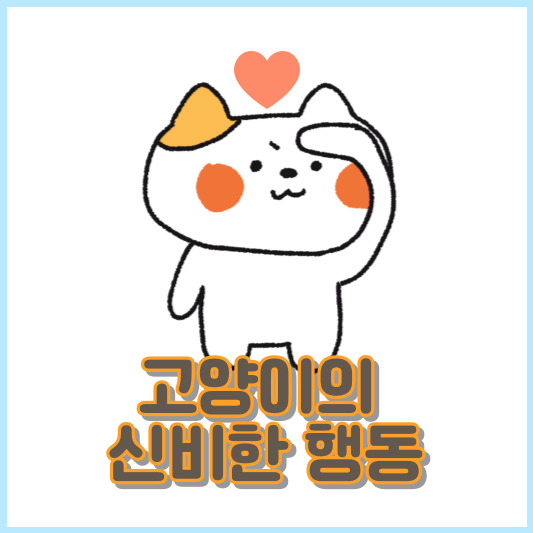 고양이 반려동물의 신비한 행동 탐구하기