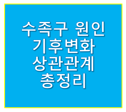 수족구 원인이 기후변화