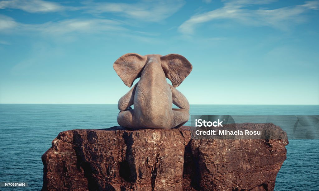 서울시임신부교통비지원