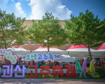 괴산 고추축제_3