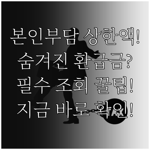 본인부담상한액 초과금 보험료 과오납 ..