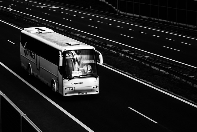 강릉 고속버스터미널 주변 정보