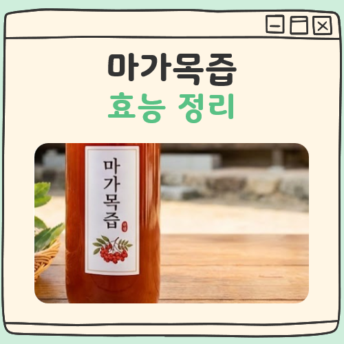 마가목 즙 효능 대표 이미지