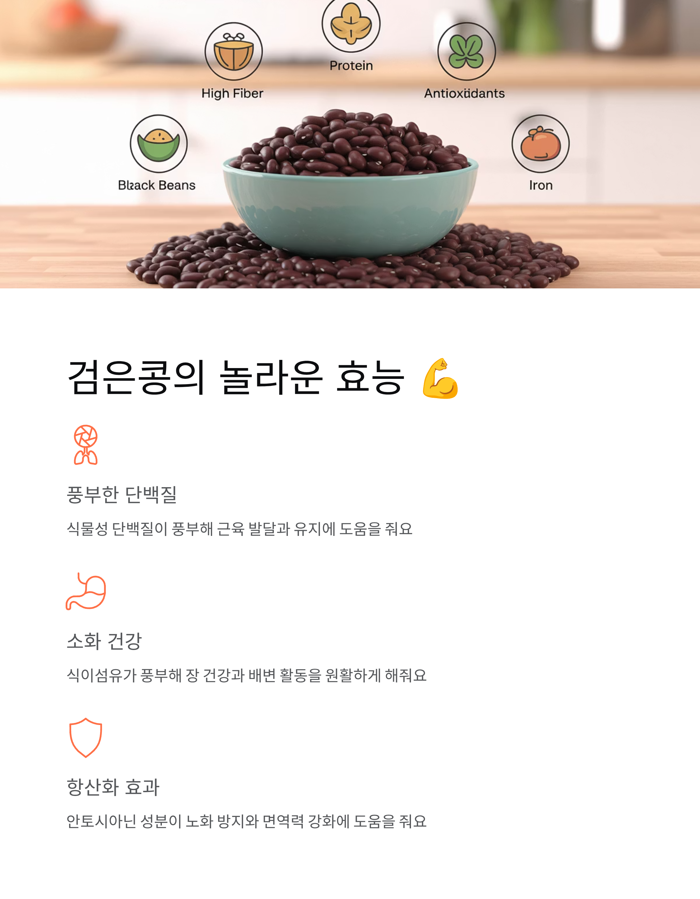 강아지 검은콩 🐕 급여량·효능·주의사항 완벽 정리!