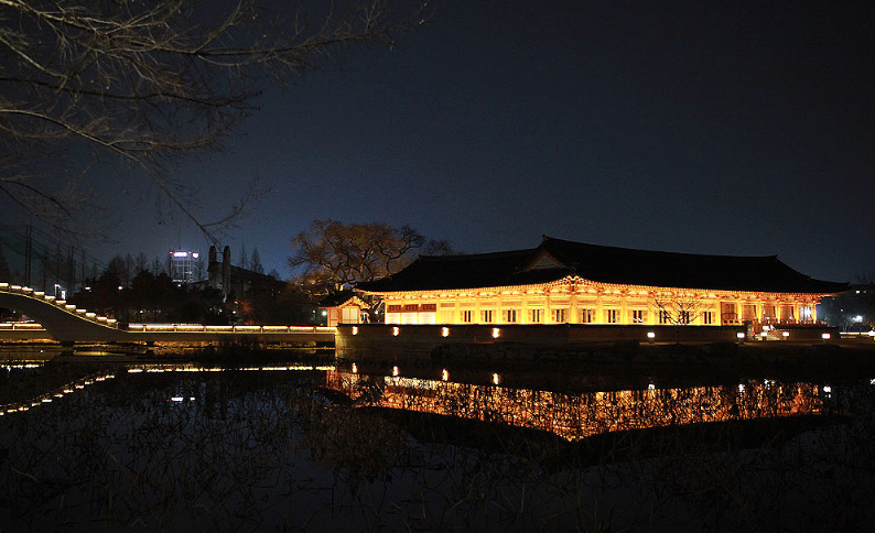 ๋์ง๊ณต์