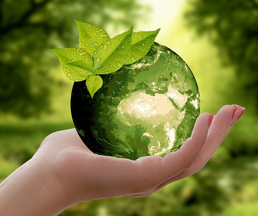 2025세계환경의날, 대한민국세계환경의날, 세계환경의날2025, 환경보호, 지구를위한행동, 탄소중립2050, 그린뉴딜, 기후위기대응, 환경축제, 지속가능한미래, UN환경행사, 환경캠페인, 친환경기술, 플라스틱프리, 환경보호실천, 녹색성장, 생물다양성보존, 세계환경행사, 기후변화대응, 환경리더십