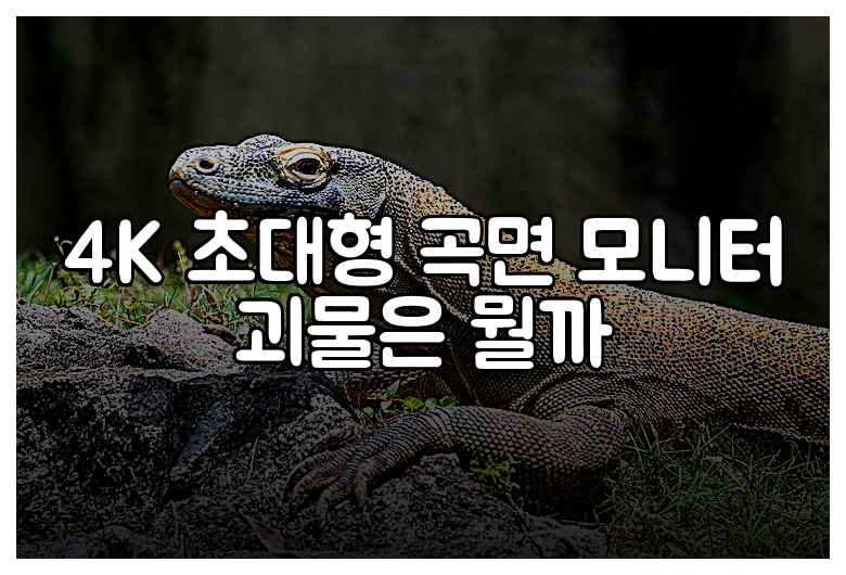 4K 초대형 곡면 모니터 괴물은 뭘까