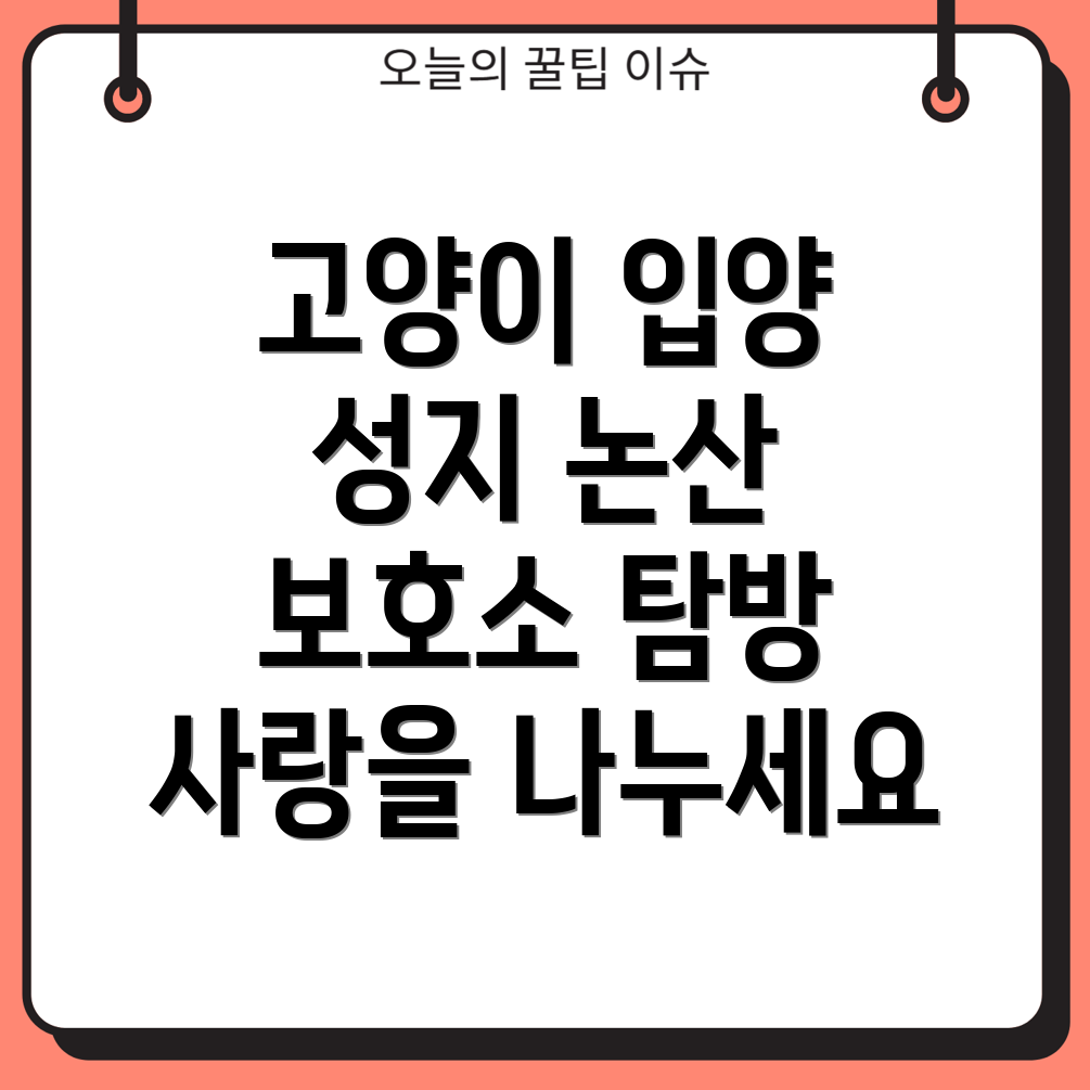 논산 고양이 보호소