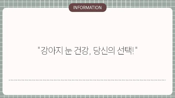 강아지 백내장 수술을 기다리는 반려견