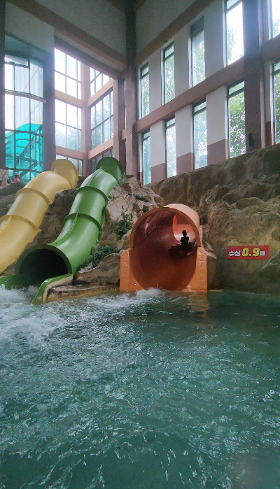 수영이 체형 변화에 미치는 영향