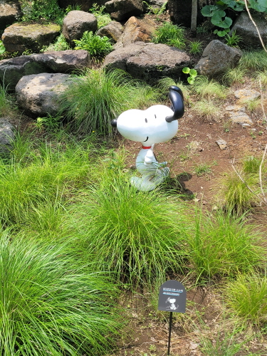 스누피가든