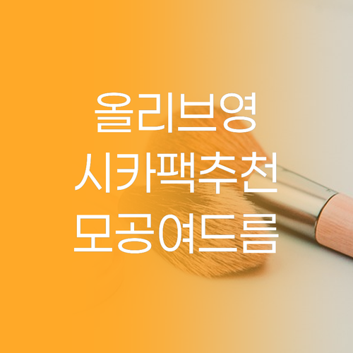 올리브영 클레이마스크 시카팩 모공 여