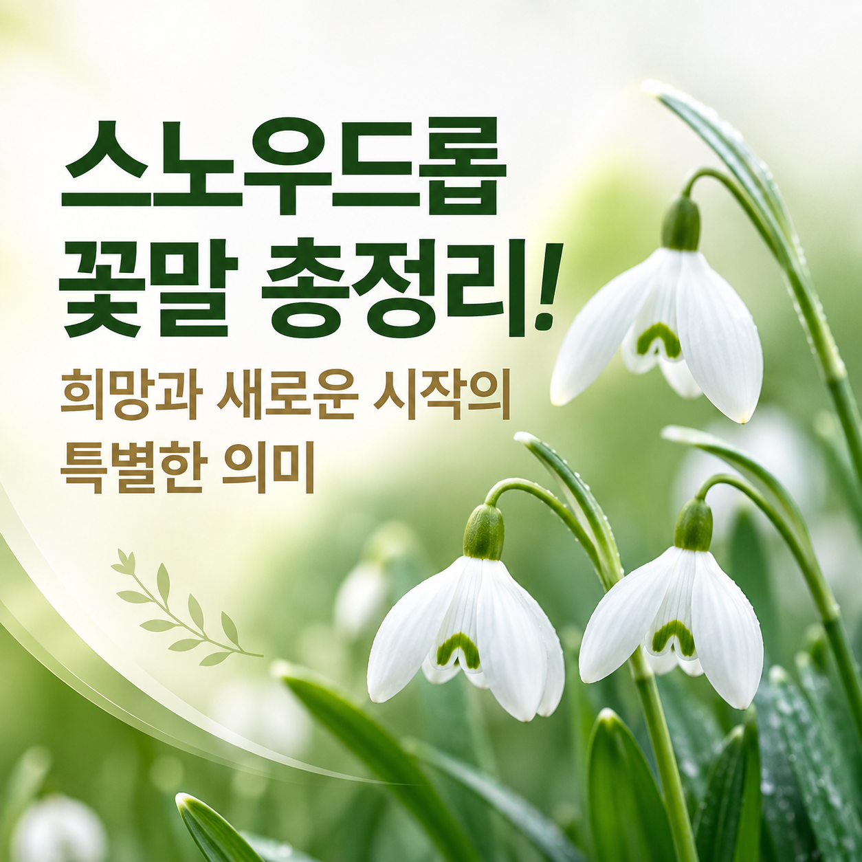 스노우드롭 꽃말