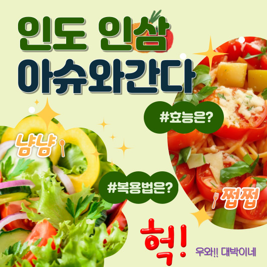 아슈와간다 효능 및 복용법 부작용까지!! 아슈와간다