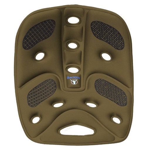 백조이 백조이 허리보호대