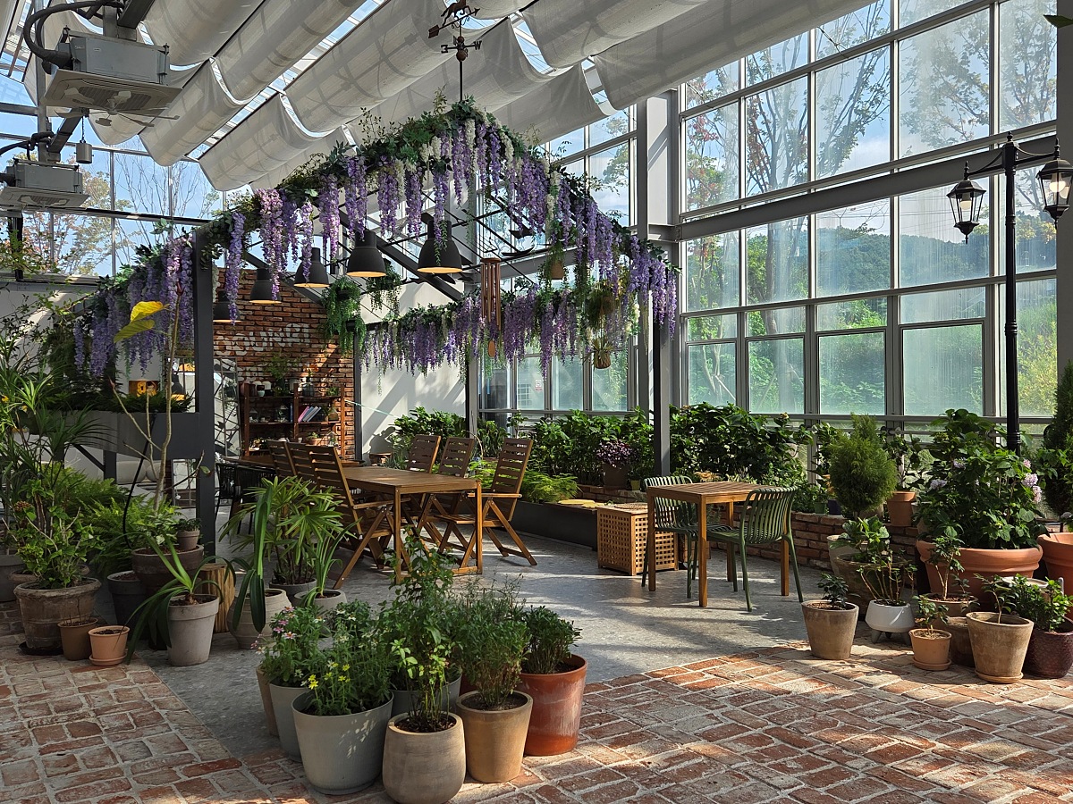 강화도 대형카페 두운리, 초록의 목수국 정원까지 즐기는 강화도 갈만한곳