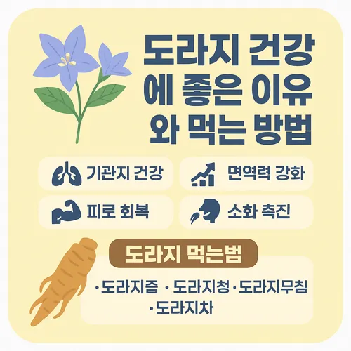 도라지 건강에 좋은 이유와 먹는 방법 썸네일