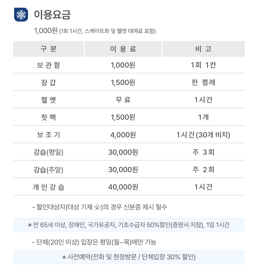 서울광장 스케이트장
