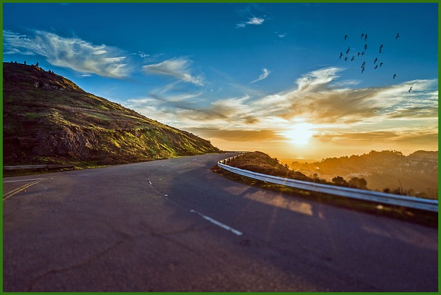 여론조사 전화 차단