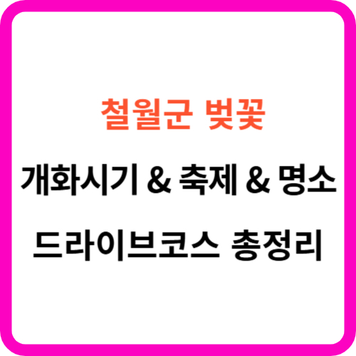 철원 벚꽃 개화시기 명소 드라이브 코스 축제 썸네일