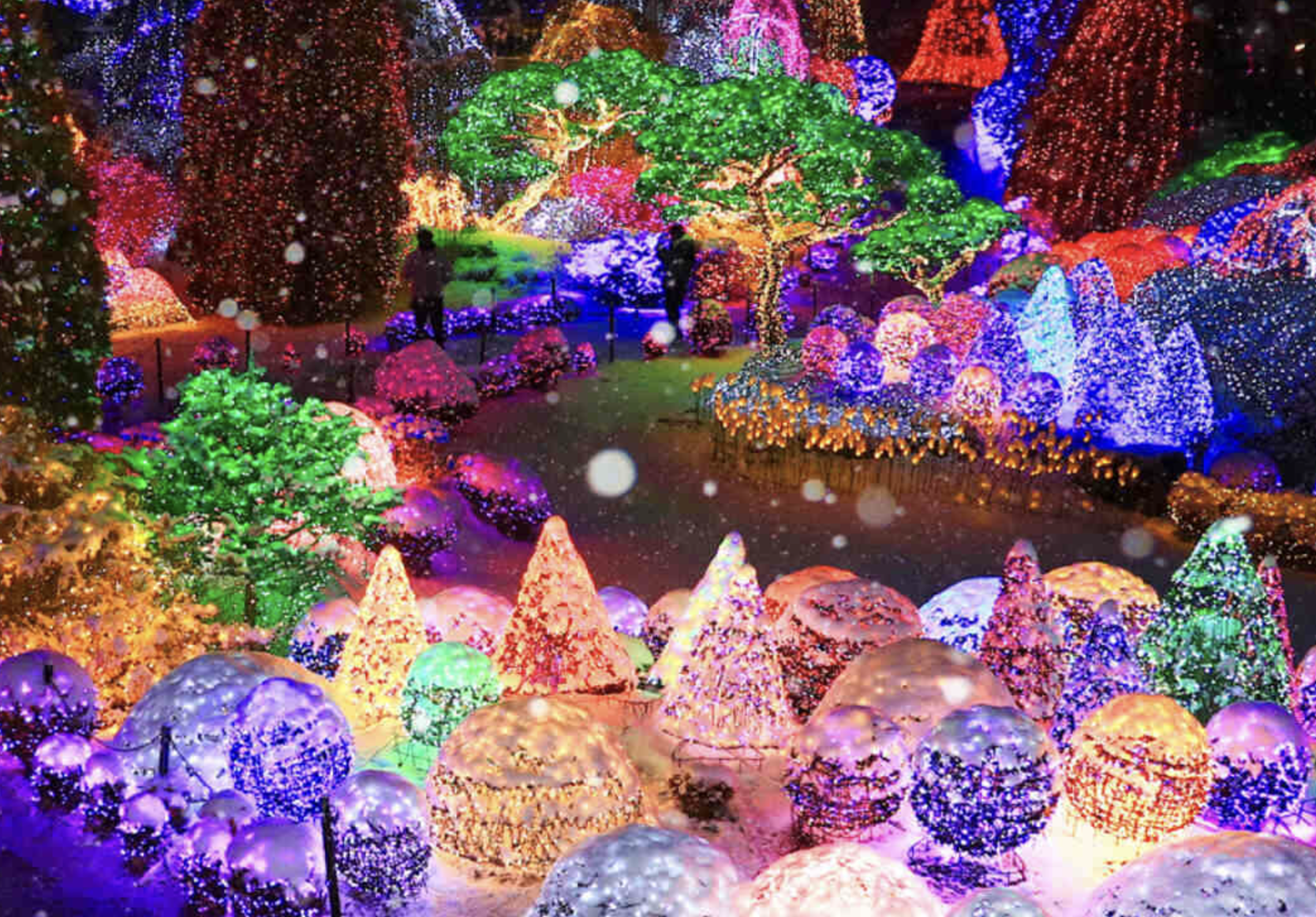 아침고요수목원 오색별빛정원전