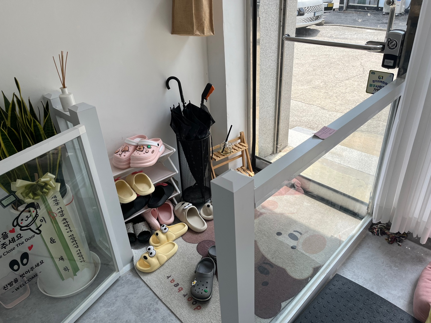 경기 광주 양벌동 애견미용, 강아지 미용, 덕자네 미용실