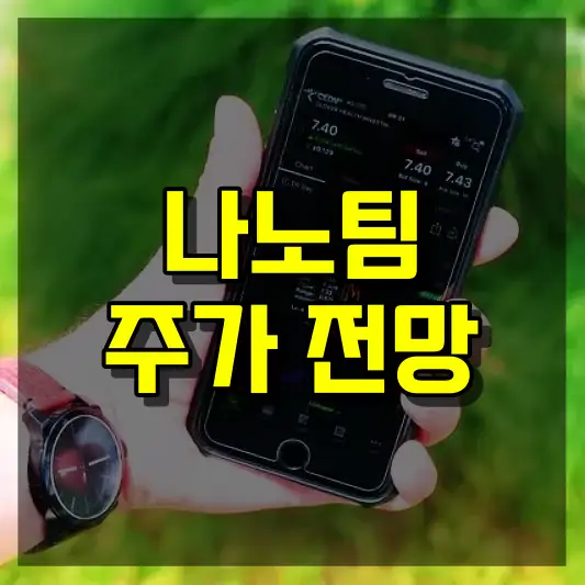 나노팀 주가 전망