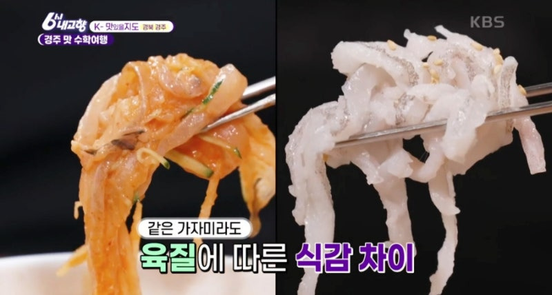 6시 내 고향 k 맛있을지도 경주, 빅마마 이혜정도 반한 참가자미 물회&middot;기름가자미 찌개 맛집