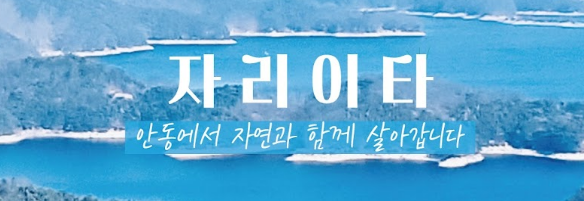 안동 유튜버 김홍기