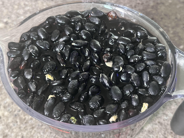검은콩간식
