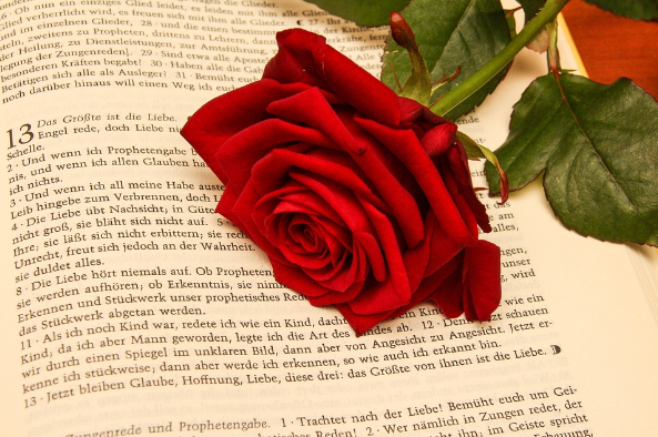 고린도전서 성경퀴즈 예상문제