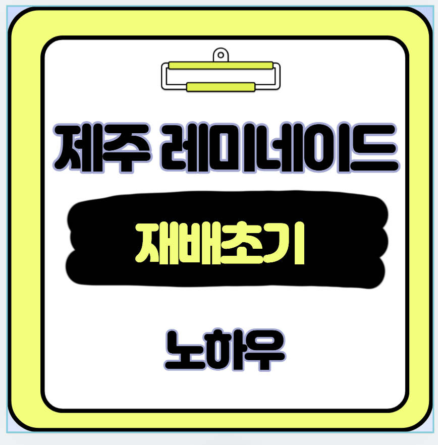 제주 레모네이드 오렌지 재배 노하우