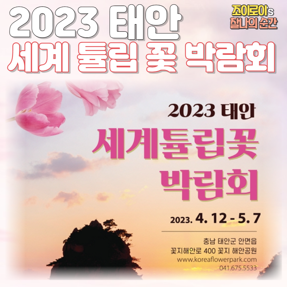 태안 튤립 축제