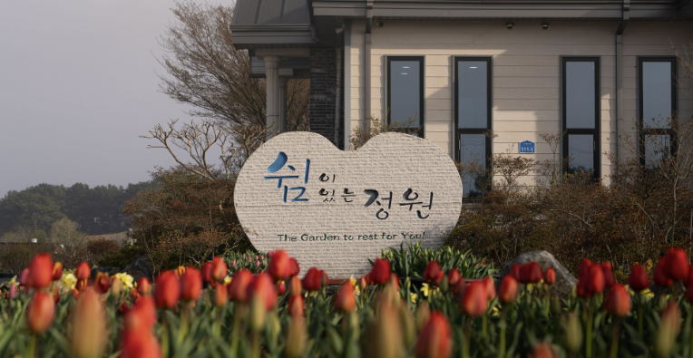 충남 민간정원 쉼이있는정원에 피어난 화사한 튤립과 수선화