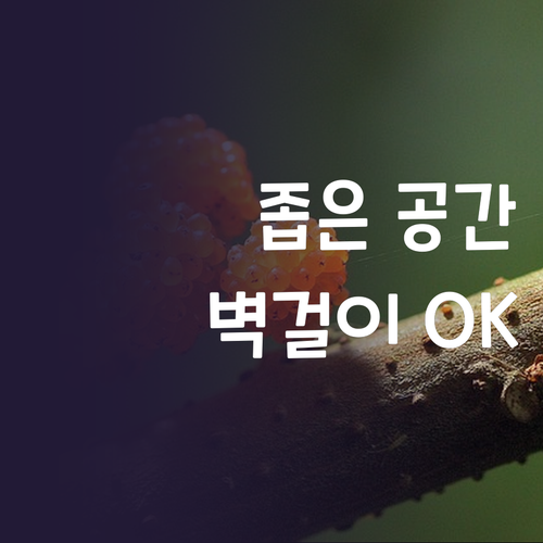 좁은 공간도 OK! 캐리어 벽걸이 냉..