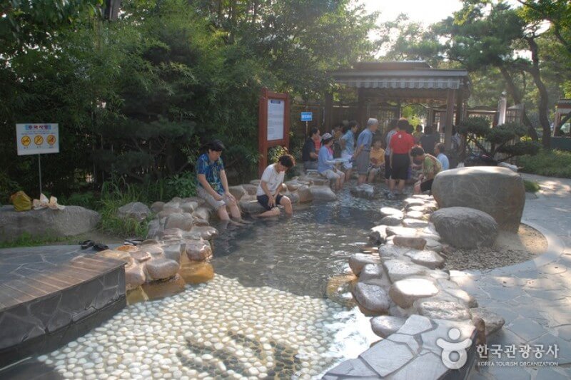 대전 유성 온천에서 체감하는 도시 속 온기의 구조와 치유적 산책이 이루는 완만한 휴식의 리듬