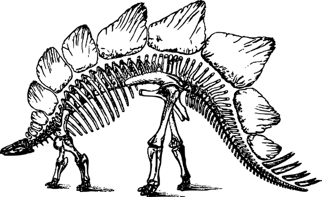 서대문자연사박물관