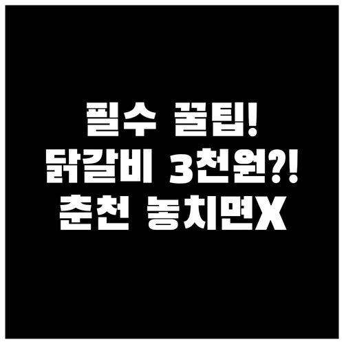 10월 16일 개막 춘천 축제 닭갈비..