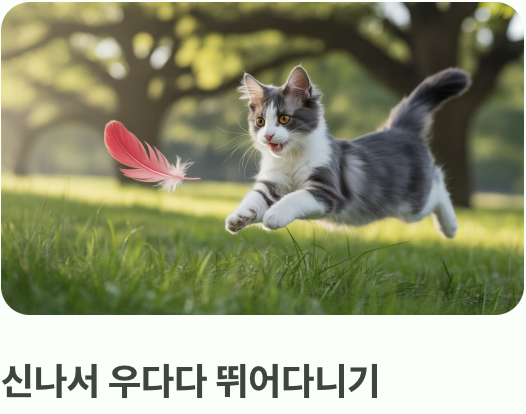 우리 냥이의 행복한 반응들