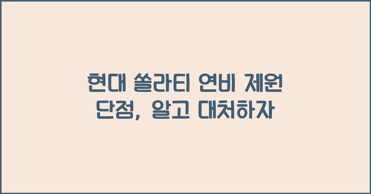 현대 쏠라티 연비 제원 단점